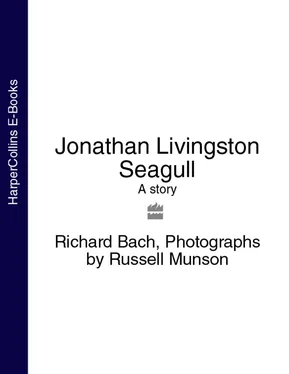 Richard Bach Jonathan Livingston Seagull: A story обложка книги