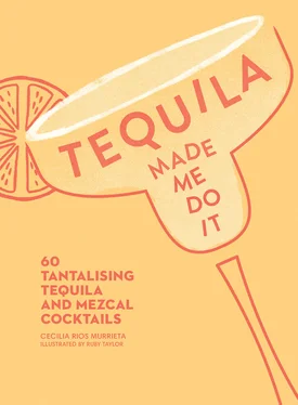 Ruby Taylor Tequila Made Me Do It: 60 tantalising tequila and mezcal cocktails обложка книги