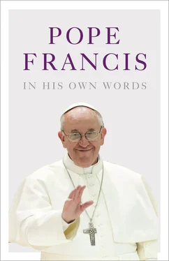 Rogak Rogak Pope Francis in his Own Words обложка книги
