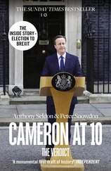 Anthony Seldon - Cameron at 10 - From Election to Brexit