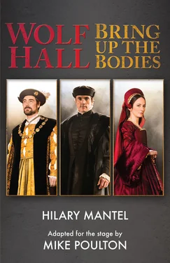 Hilary Mantel Wolf Hall & Bring Up the Bodies: RSC Stage Adaptation - Revised Edition обложка книги