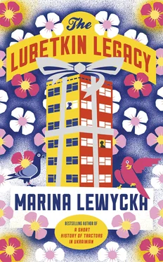 Marina Lewycka The Lubetkin Legacy обложка книги