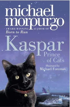 Michael Morpurgo Kaspar: Prince of Cats обложка книги