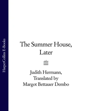 Judith Hermann The Summer House, Later обложка книги