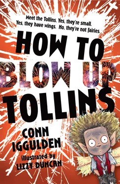 Conn Iggulden HOW TO BLOW UP TOLLINS обложка книги