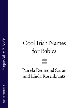 Linda Rosenkrantz Cool Irish Names for Babies обложка книги