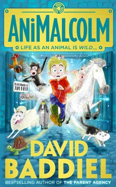 David Baddiel AniMalcolm обложка книги