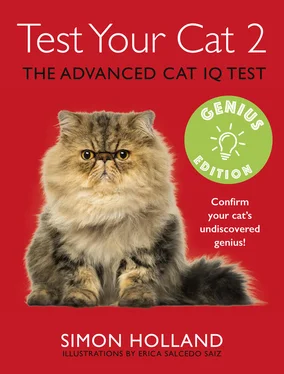 Simon Holland Test Your Cat 2: Genius Edition: Confirm your cat’s undiscovered genius! обложка книги