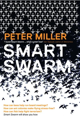 Peter Miller Smart Swarm: Using Animal Behaviour to Organise Our World обложка книги