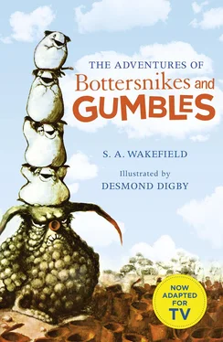 Desmond Digby The Adventures of Bottersnikes and Gumbles обложка книги