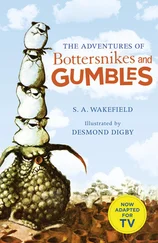 Desmond Digby - The Adventures of Bottersnikes and Gumbles