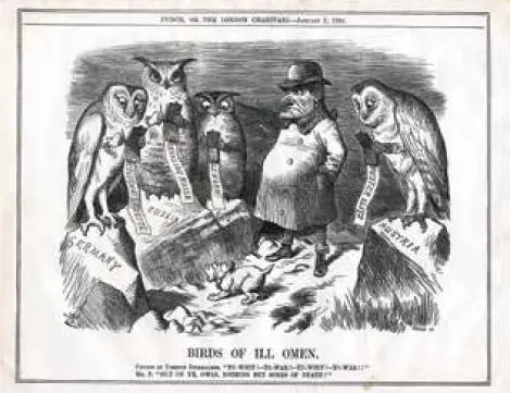 Todays owls fall into two families the barn owls Tytonidae and the typical - фото 11