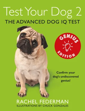 Rachel Federman Test Your Dog 2: Genius Edition: Confirm your dog’s undiscovered genius! обложка книги