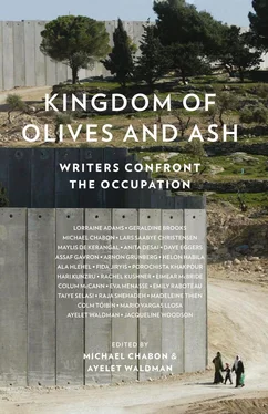 Colm Toibin Kingdom of Olives and Ash: Writers Confront the Occupation