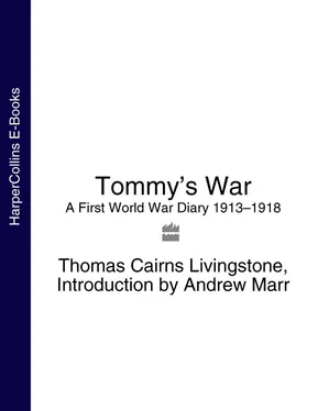 Andrew Marr Tommy’s War: A First World War Diary 1913–1918 обложка книги