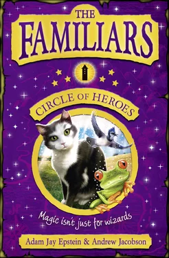 Adam Epstein The Familiars: Circle of Heroes обложка книги