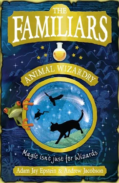 Adam Epstein The Familiars: Animal Wizardry обложка книги