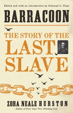 Alice Walker Barracoon: The Story of the Last Slave обложка книги