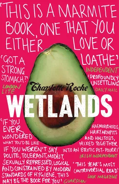 Charlotte Roche Wetlands обложка книги