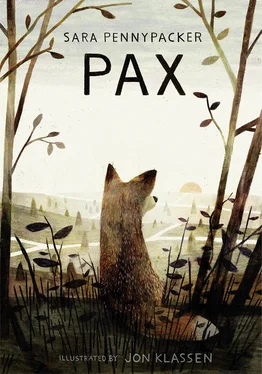 Jon Klassen Pax обложка книги