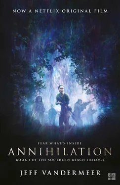 Jeff VanderMeer Annihilation: The thrilling book behind the most anticipated film of 2018 обложка книги