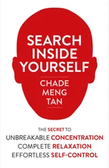 Chade-Meng Tan - Search Inside Yourself - Increase Productivity, Creativity and Happiness [ePub edition]