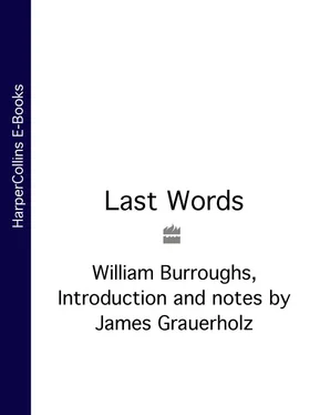 William Burroughs Last Words обложка книги