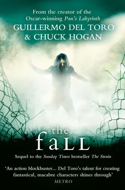 Chuck Hogan The Fall