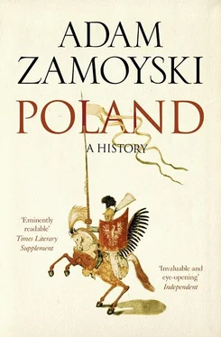 Adam Zamoyski Poland: A history обложка книги