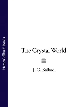 Robert MacFarlane The Crystal World обложка книги