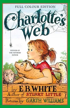 Garth Williams Charlotte’s Web обложка книги