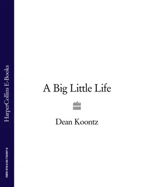 Dean Koontz A Big Little Life обложка книги