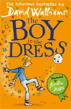 Quentin Blake The Boy in the Dress обложка книги