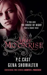 Gena Showalter - After Moonrise - Possessed / Haunted