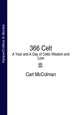 Carl McColman 366 Celt: A Year and A Day of Celtic Wisdom and Lore обложка книги