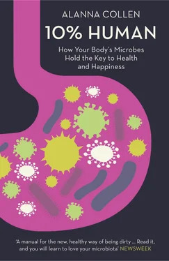 Alanna Collen 10% Human: How Your Body’s Microbes Hold the Key to Health and Happiness обложка книги