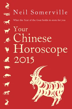 Neil Somerville Your Chinese Horoscope 2015: What the year of the goat holds in store for you обложка книги