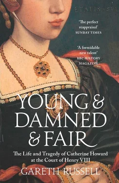 Gareth Russell Young and Damned and Fair: The Life and Tragedy of Catherine Howard at the Court of Henry VIII обложка книги