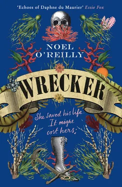 Noel O’Reilly Wrecker: A gripping debut for fans of Poldark and the Essex Serpent обложка книги