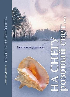 Александръ Дунаенко На снегу розовый свет... обложка книги