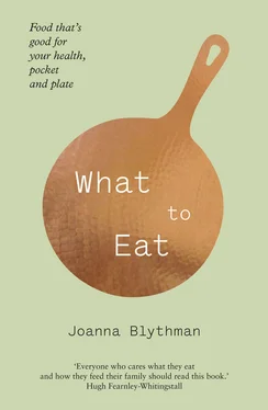 Joanna Blythman What to Eat: Food that’s good for your health, pocket and plate обложка книги