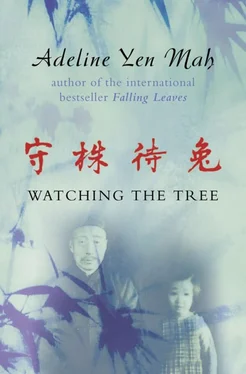 Adeline Mah Watching the Tree: A Chinese Daughter Reflects on Happiness, Spiritual Beliefs and Universal Wisdom обложка книги
