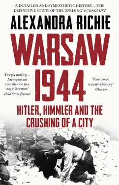 Alexandra Richie Warsaw 1944: Hitler, Himmler and the Crushing of a City обложка книги