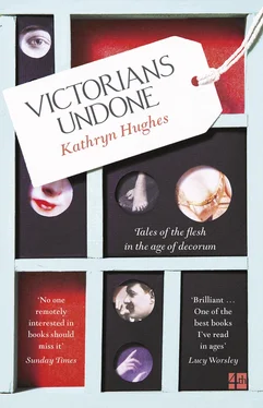 Kathryn Hughes Victorians Undone: Tales of the Flesh in the Age of Decorum обложка книги