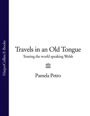 Pamela Petro Travels in an Old Tongue: Touring the World Speaking Welsh обложка книги