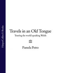 Pamela Petro - Travels in an Old Tongue - Touring the World Speaking Welsh