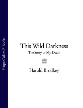 Harold Brodkey This Wild Darkness: The Story of My Death обложка книги