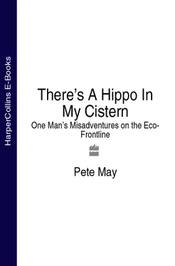 Pete May There’s A Hippo In My Cistern: One Man’s Misadventures on the Eco-Frontline обложка книги