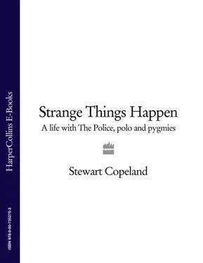 Stewart Copeland Strange Things Happen: A life with The Police, polo and pygmies обложка книги