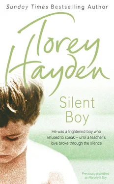 Torey Hayden Silent Boy: He was a frightened boy who refused to speak – until a teacher's love broke through the silence обложка книги